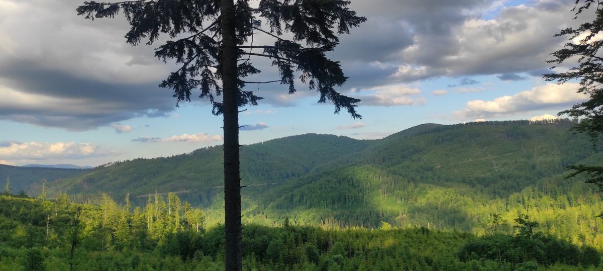 Widok z Przegibku